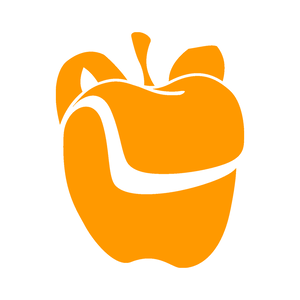 Team Page: Bay High Focus Program